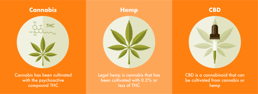 Cannabis - Hemp - CBD