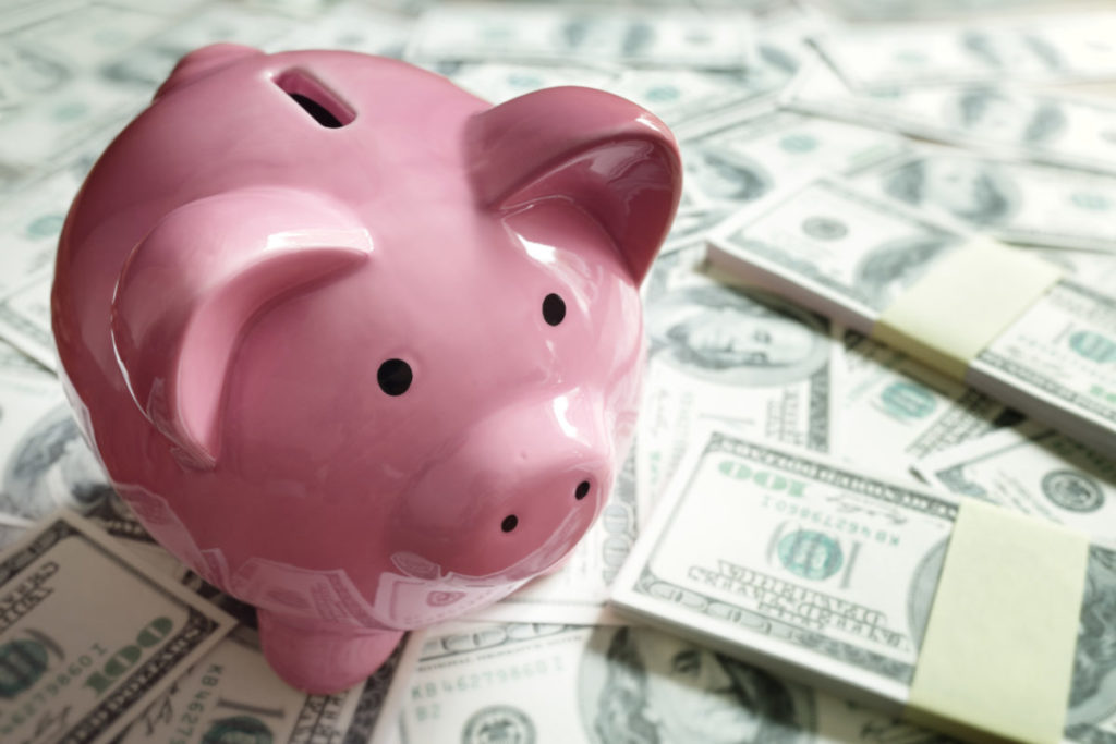 Piggy bank on money concept