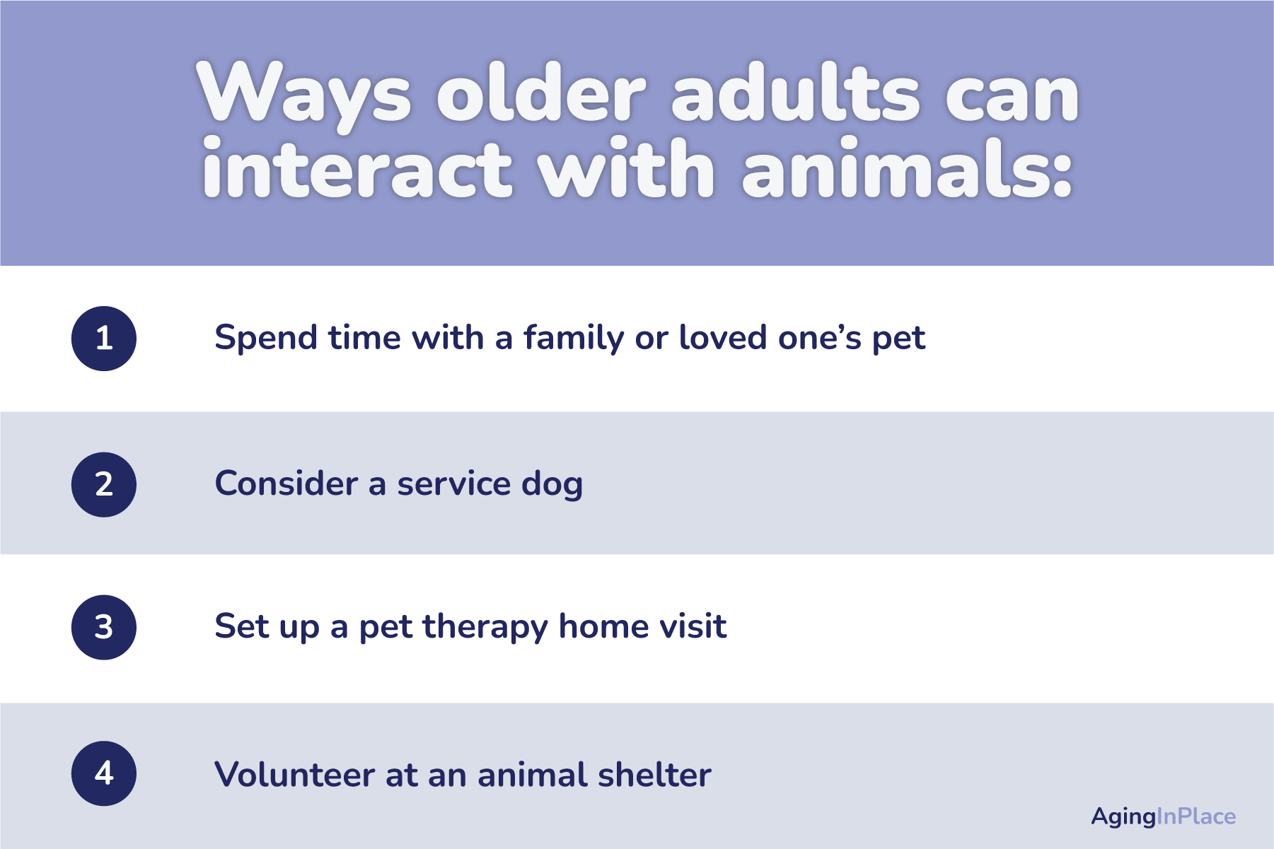 Ways that older adults can interact with pets and animals